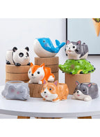 Cute Indoor Plant Pot, Succulent Pots with Drainage Hole, Cat