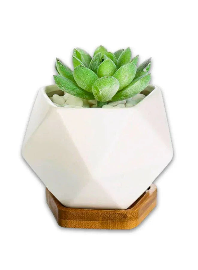 Mini Geometric Indoor Plant Pot with Bamboo Tray & Drainage Hole – Small Succulent Planter for Desk, Office, or Home Garden (Plant Not Included)