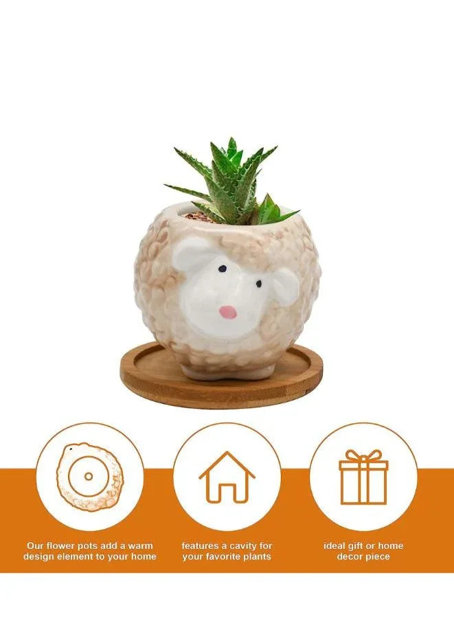 Cute Succulent Indoor Plant Pot, Succulent Pots with Drainage Hole, Sheep