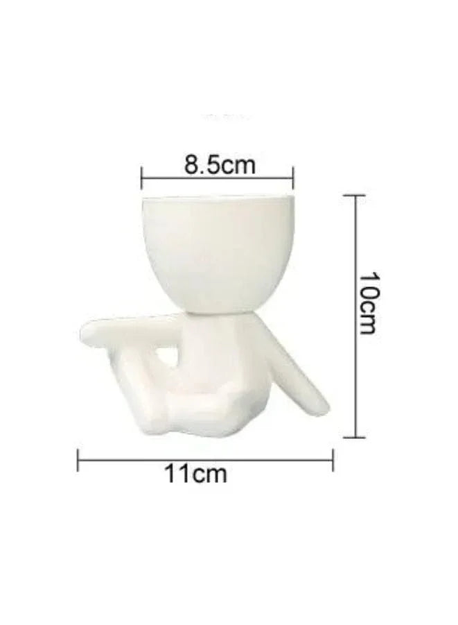 indoor decor plant pot