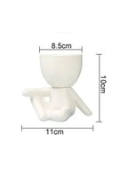 indoor decor plant pot