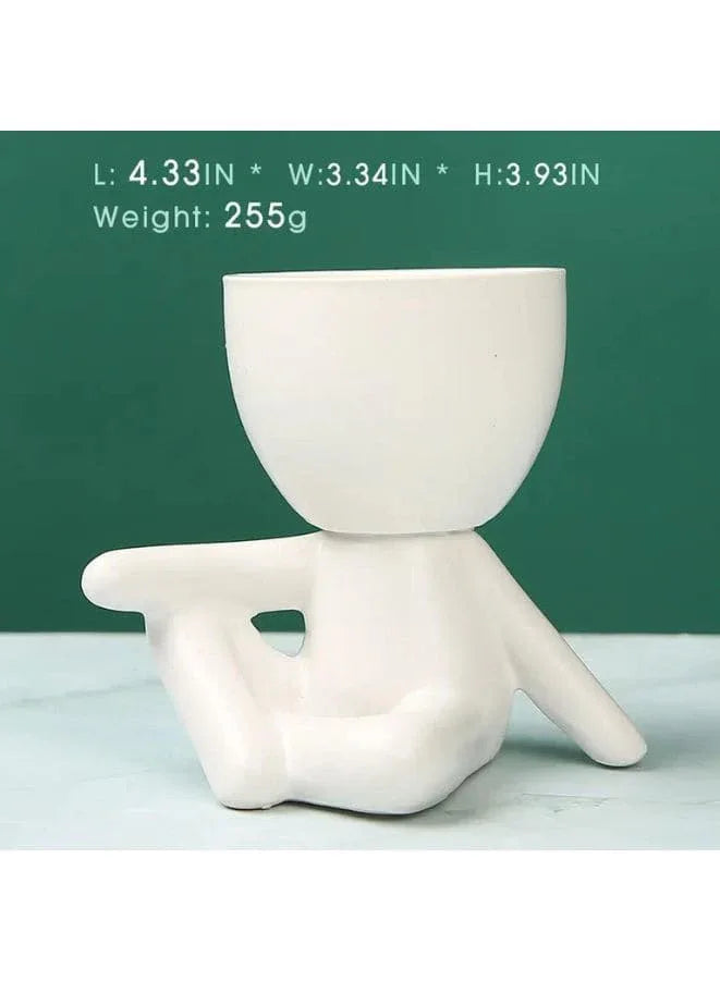 indoor decor plant pot