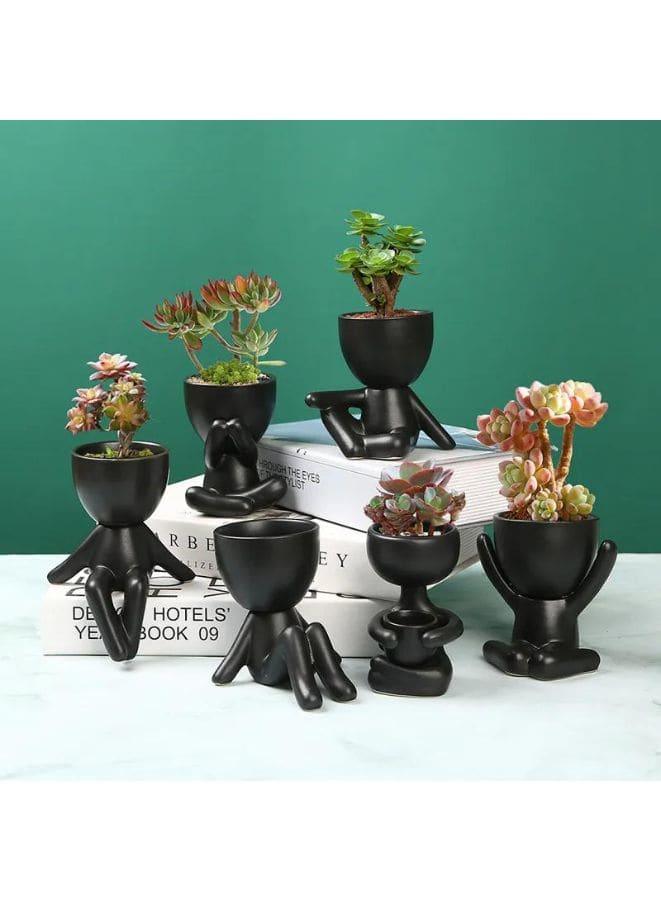 indoor decor plant pot