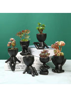 indoor decor plant pot