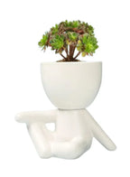 indoor decor plant pot
