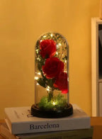 Enchanted 3 Roses with Petals in Glass Dome Personalized Gifts for Women Girlfriend Valentine’s Day Mother’s Day Christmas Anniversary Birthday, Red Fatio General Trading