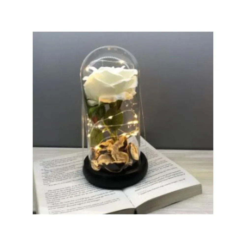 Enchanted Flower with Petals in Glass Dome Personalized Gifts for Women Girlfriend Valentine’s Day Mother’s Day Christmas Anniversary Birthday Fatio General Trading