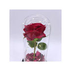 Enchanted Red Rose with Petals in Glass Dome Personalized Gifts for Women Girlfriend Valentine’s Day Mother’s Day Christmas Anniversary Birthday Fatio General Trading