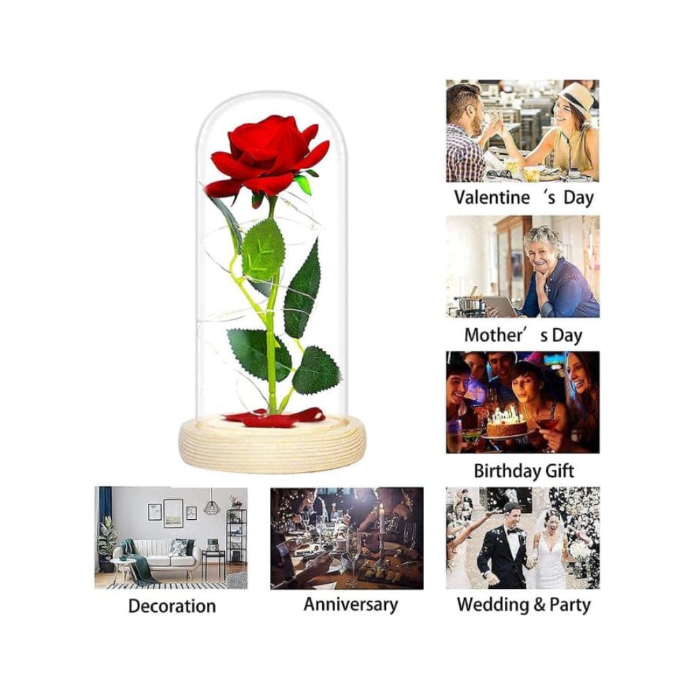Enchanted Red Rose with Petals in Glass Dome Personalized Gifts for Women, Valentine’s Day Mother’s Day Christmas Anniversary Birthday Fatio General Trading