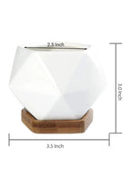 وعاء نباتات عصارية أبيض مع صينية من الخيزران وفتحة تصريف للمكتب والحديقة المنزلية (النبات غير متضمن)