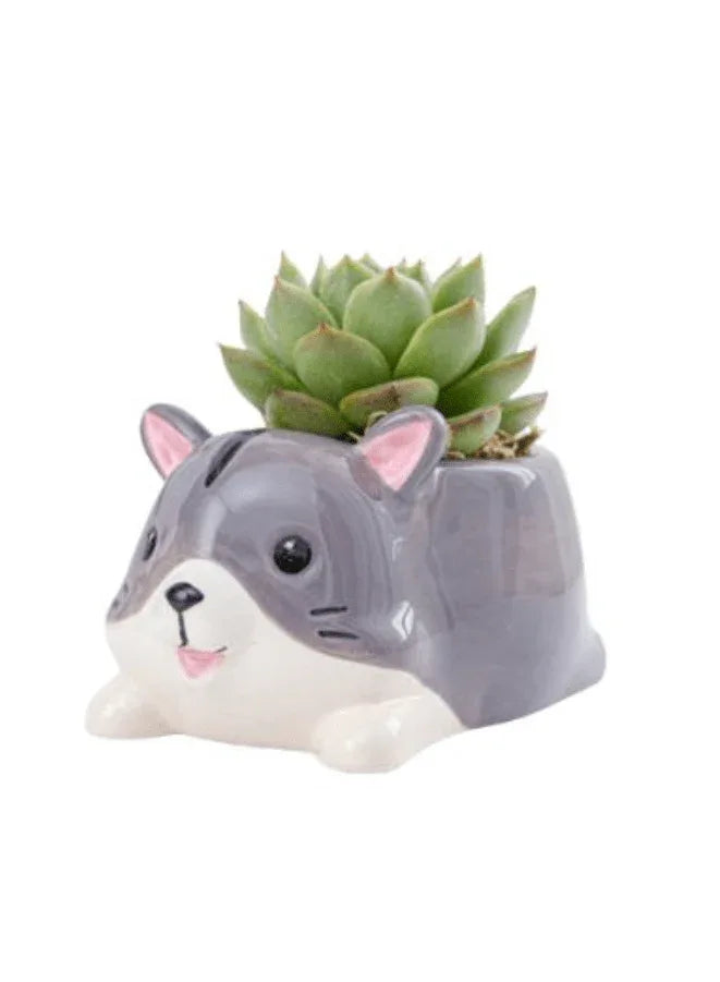 Cute Indoor Plant Pot, Succulent Pots with Drainage Hole, Dog