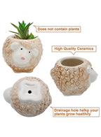 Cute Succulent Indoor Plant Pot, Succulent Pots with Drainage Hole, Sheep