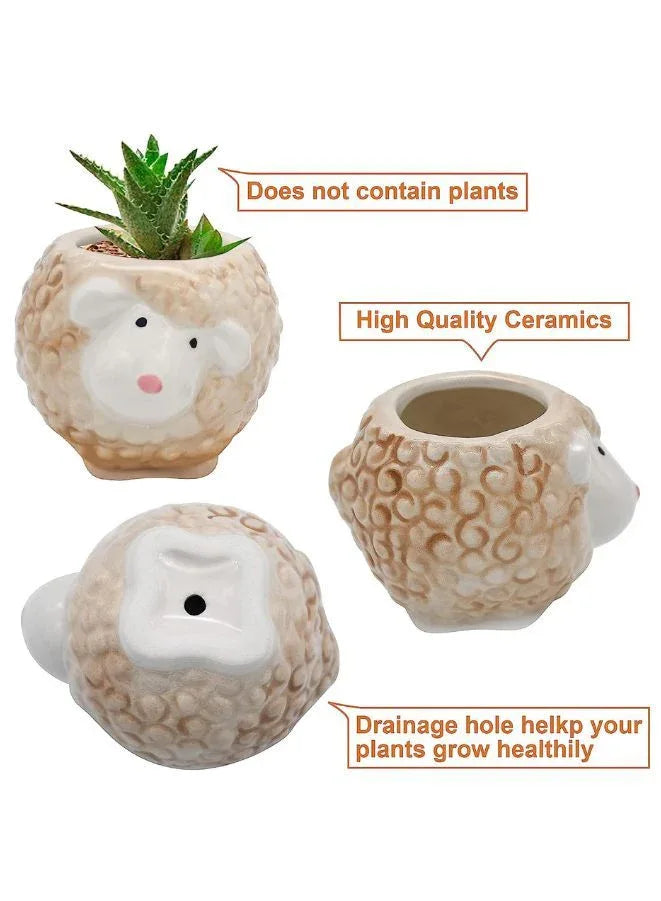 Cute Succulent Indoor Plant Pot, Succulent Pots with Drainage Hole, Sheep