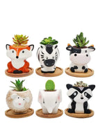 Cute Succulent Indoor Plant Pot, Succulent Pots with Drainage Hole, Skunk