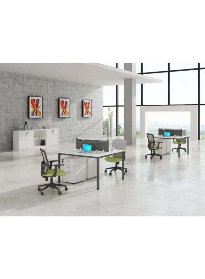 Modern and Stylish 2 seat Workstation for offices Fatio General Trading