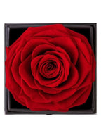 Handmade Preserved Rose Flower Jewelry Box and Heart Pendant Necklace, Greeting Card and Bag included, Rose Gift for Valentine's Day