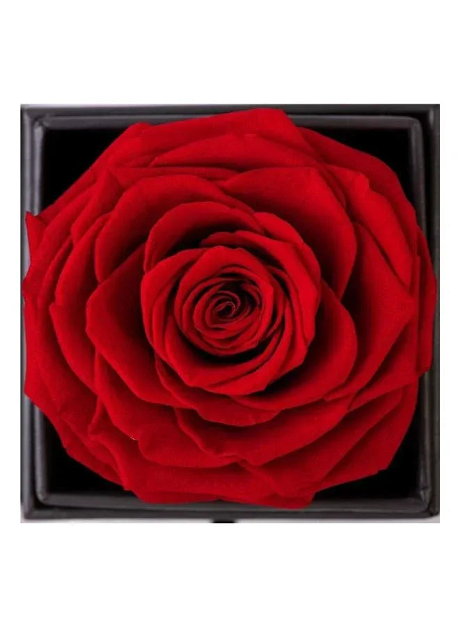 Handmade Preserved Rose Flower Jewelry Box and Gold Heart Pendant Necklace, Greeting Card and Bag included, Rose Gift for Valentine's Day