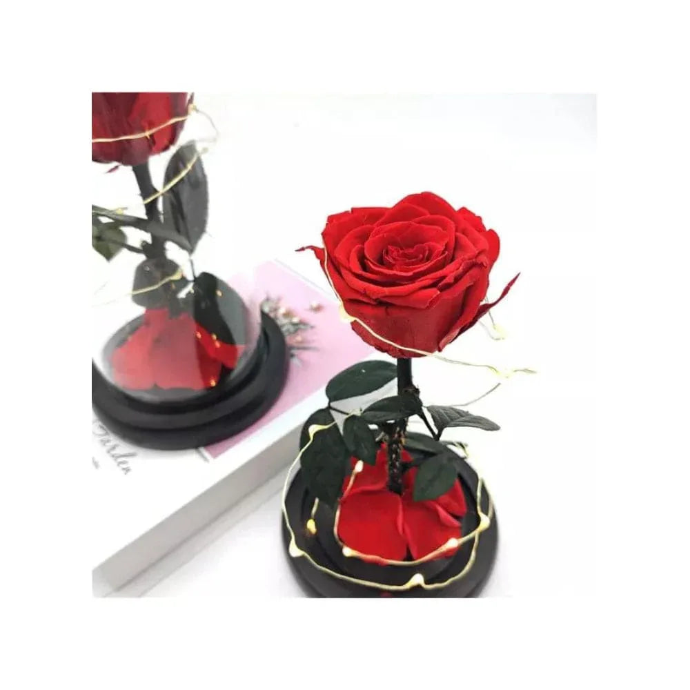 Preserved Rose Enchanted Rose Red Silk Rose in Glass Dome with LED Lights Pine Base, Romantic Home Decor Gifts for Mothers Day Wedding Anniversary Birthday Valentines Day Fatio General Trading