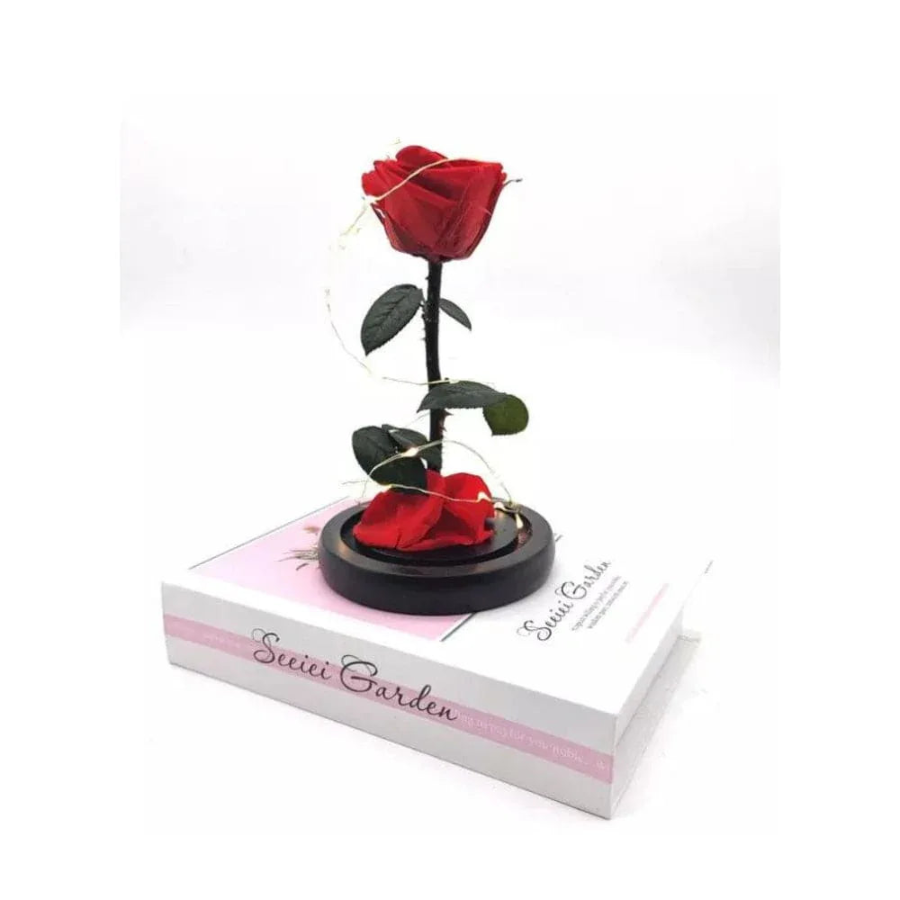 Preserved Rose Enchanted Rose Red Silk Rose in Glass Dome with LED Lights Pine Base, Romantic Home Decor Gifts for Mothers Day Wedding Anniversary Birthday Valentines Day Fatio General Trading