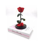 Preserved Rose Enchanted Rose Red Silk Rose in Glass Dome with LED Lights Pine Base, Romantic Home Decor Gifts for Mothers Day Wedding Anniversary Birthday Valentines Day Fatio General Trading
