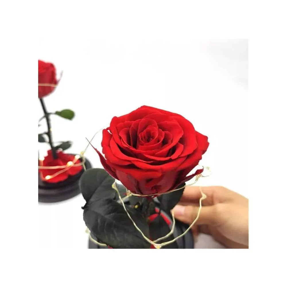 Preserved Rose Enchanted Rose Red Silk Rose in Glass Dome with LED Lights Pine Base, Romantic Home Decor Gifts for Mothers Day Wedding Anniversary Birthday Valentines Day Fatio General Trading