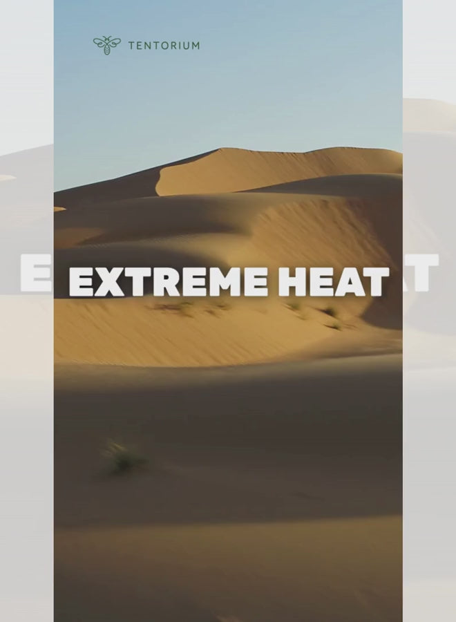 Chilidonia Natural Bee Cream 50ml – Intensive Repair & Moisturizing Balm for Dry & Sensitive Skin