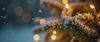 snowfall on lit up christmas tree
