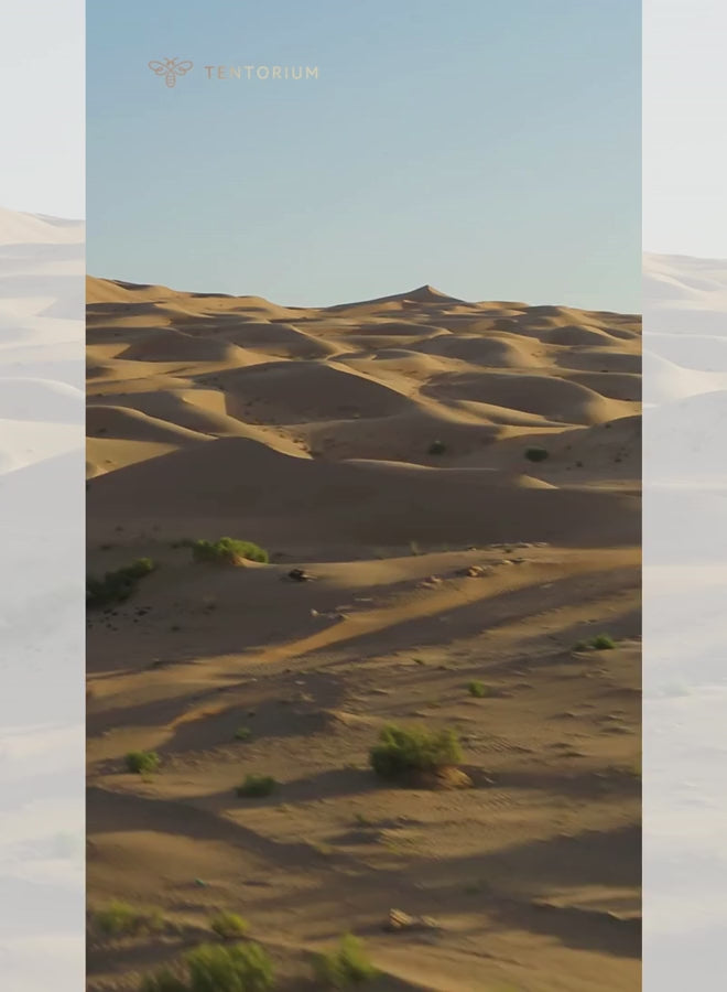 كريم تينتوريوم فيتوس فاكتور للعناية الطبيعية بالبشرة مع المعادن والفيتامينات - كريم مرطب للبشرة الجافة