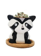 Cute Succulent Indoor Plant Pot, Succulent Pots with Drainage Hole, Skunk