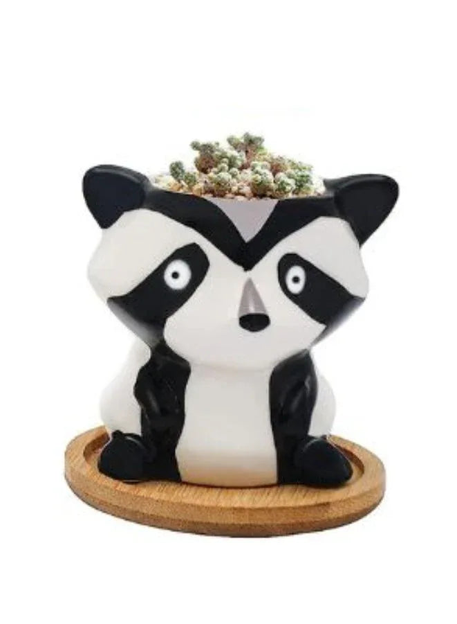 Cute Succulent Indoor Plant Pot, Succulent Pots with Drainage Hole, Skunk