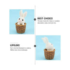 Radish Bunny Ornaments, Miniature Fairy Garden Ornaments, Cute Rabbits and Carrot House for Plant Pot, Home Decoration, Simulation Model Decoration, Bunny 3 Fatio General Trading