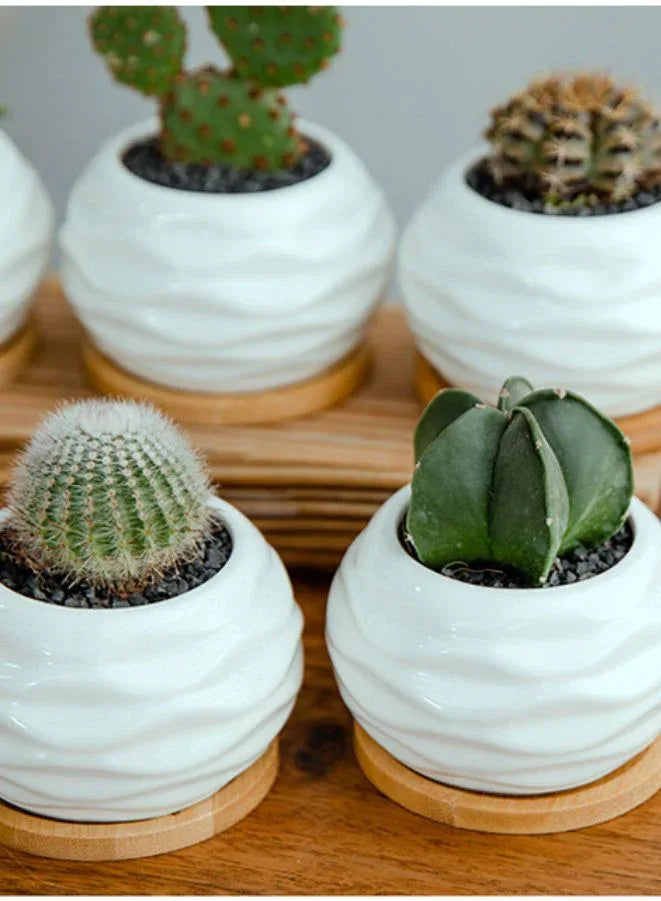 وعاء نباتات عصارية أبيض مع صينية من الخيزران وفتحة تصريف للمكتب والحديقة المنزلية (النبات غير متضمن)