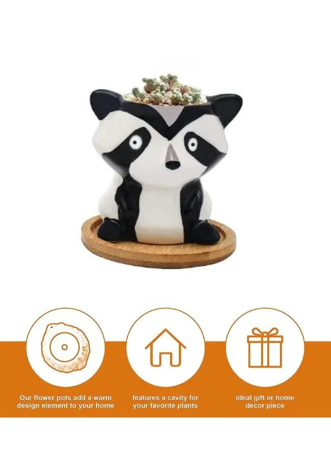 Cute Succulent Indoor Plant Pot, Succulent Pots with Drainage Hole, Skunk