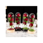 Valentines Day Gifts for Her, Valentine Rose Gift for Her Anniversary Birthday Party Beauty and The Beast Rose Flowers Artificial Rose Flower Gift on Preserved Rose Unique Gift for Wife Fatio General Trading