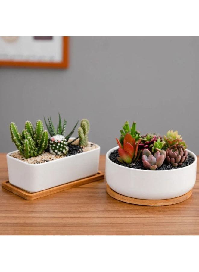 indoor plant pots