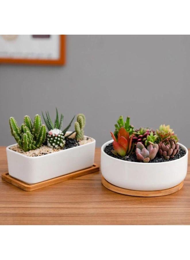 indoor plant pots