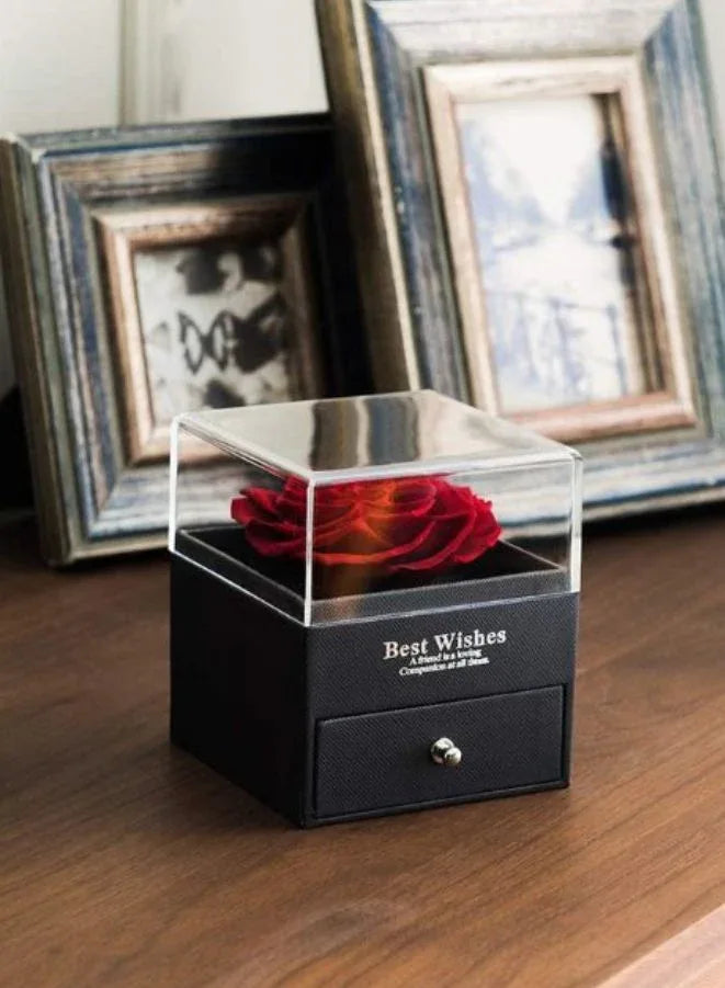 Rose Gifts for Her, Jewelry Box with Heart Shape Silver Necklace for Valentines Day with Greeting Card and Bag