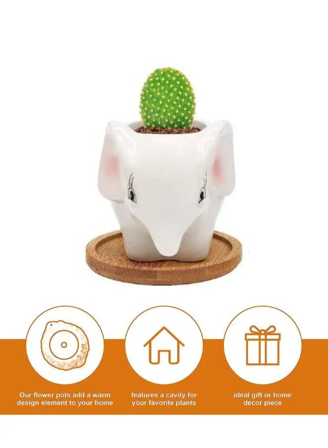 Cute Succulent Indoor Plant Pot, Succulent Pots with Drainage Hole, Elephant