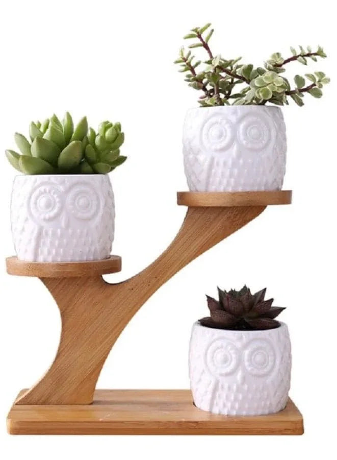 3 Pcs Cute Owl Pot Succulent Indoor Flower Pots for Home Interior Design with Bamboo Saucers Stand Holder (Owl Pot with Stand)(Plants NOT Included) - Fatio General Trading