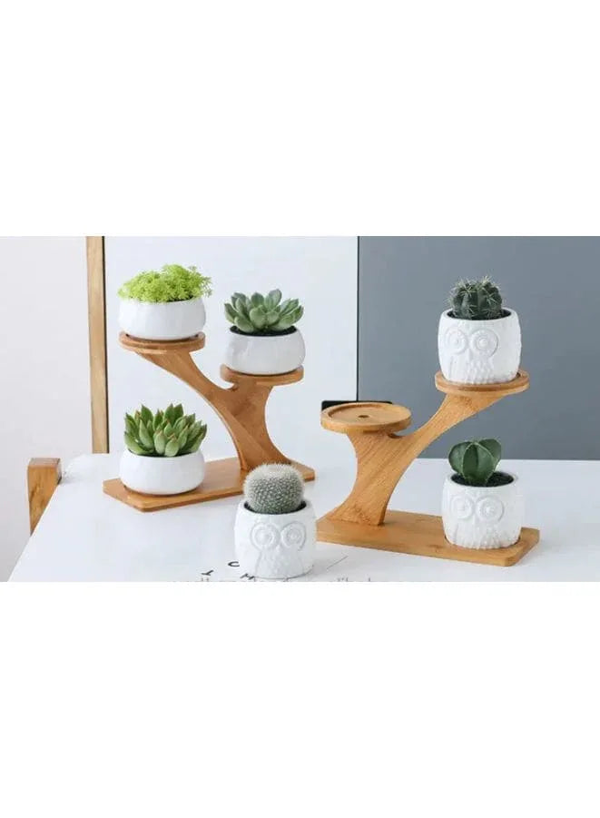 3 Pcs Cute Owl Pot Succulent Indoor Flower Pots for Home Interior Design with Bamboo Saucers Stand Holder (Owl Pot with Stand)(Plants NOT Included) - Fatio General Trading
