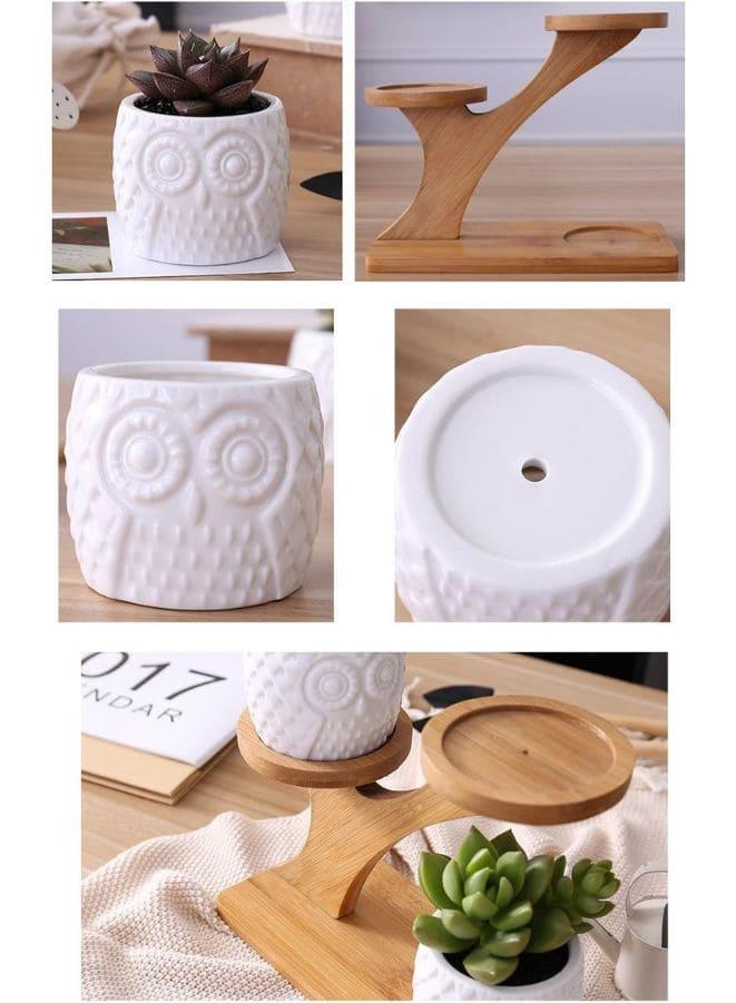 3 Pcs Cute Owl Pot Succulent Indoor Flower Pots for Home Interior Design with Bamboo Saucers Stand Holder (Owl Pot with Stand)(Plants NOT Included) - Fatio General Trading