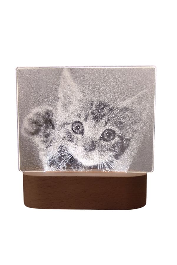 3D Acrylic Night Light Table Lamp with Wooden Base, Best Gift for Birthday, Anniversary, and Home Decor (Cute little Kitten) - Fatio General Trading