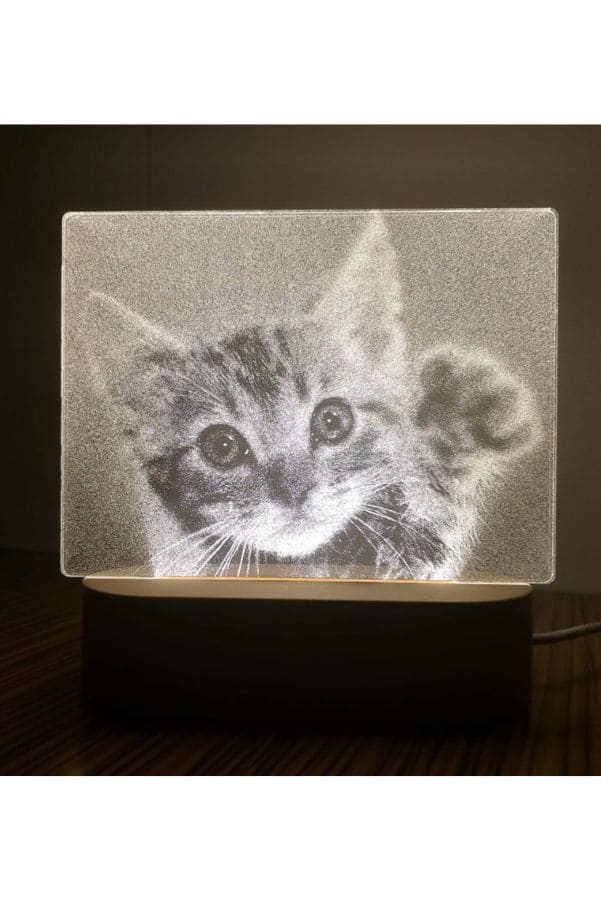 3D Acrylic Night Light Table Lamp with Wooden Base, Best Gift for Birthday, Anniversary, and Home Decor (Cute little Kitten) - Fatio General Trading