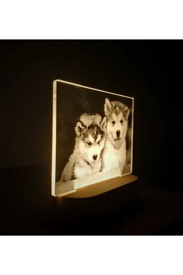 3D Acrylic Night Light Table Lamp with Wooden Base, Best Gift for Birthday, Anniversary, and Home Decor (Dogs) - Fatio General Trading