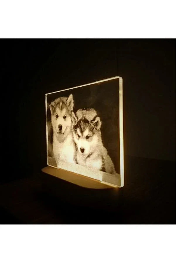 3D Acrylic Night Light Table Lamp with Wooden Base, Best Gift for Birthday, Anniversary, and Home Decor (Dogs) - Fatio General Trading