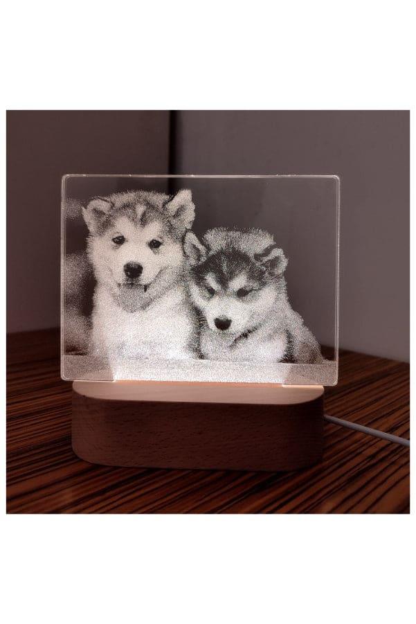 3D Acrylic Night Light Table Lamp with Wooden Base, Best Gift for Birthday, Anniversary, and Home Decor (Dogs) - Fatio General Trading