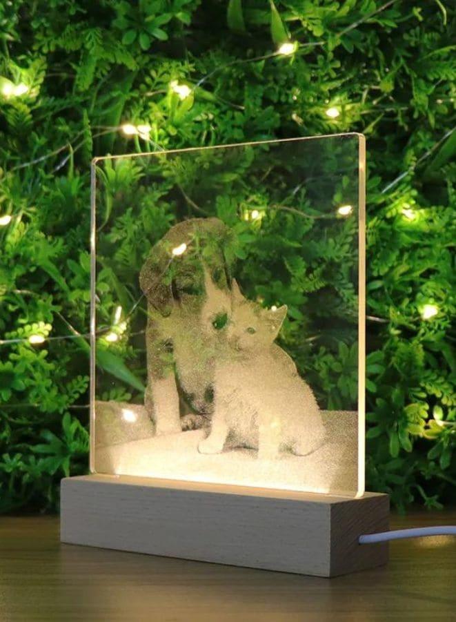 3D Acrylic Night Light Table Lamp with Wooden Base, Best Gift for Birthday, Anniversary, and Home Decor (Loving Cat and Dog) - Fatio General Trading