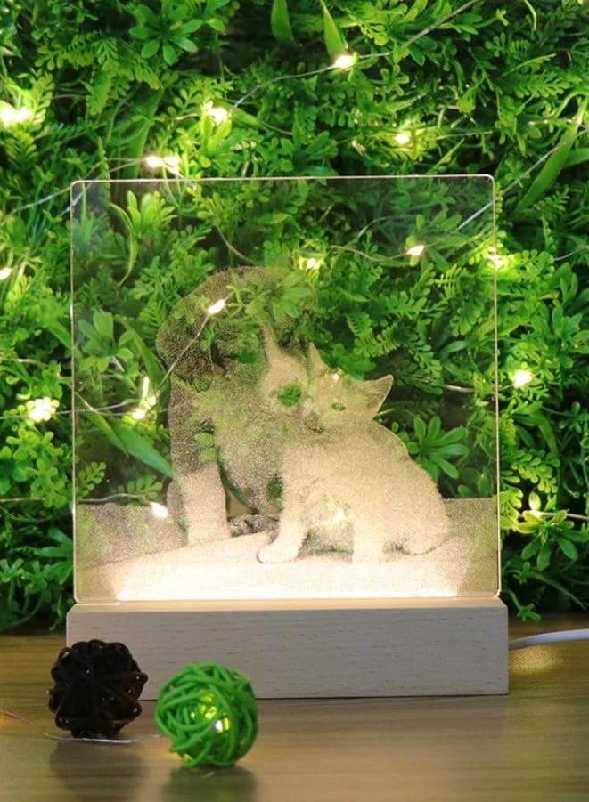 3D Acrylic Night Light Table Lamp with Wooden Base, Best Gift for Birthday, Anniversary, and Home Decor (Loving Cat and Dog) - Fatio General Trading