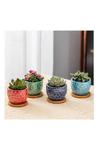 4 Pcs Ceramic Flowerpot Set Succulent Plant Pots Nordic Simple Style Design Planter Cactus Flower Pot With Tray Home Interior Design, Garden Décor Gift (Plants NOT Included) - Fatio General Trading