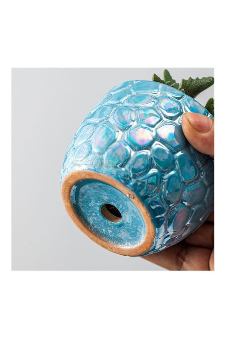 4 Pcs Ceramic Flowerpot Set Succulent Plant Pots Nordic Simple Style Design Planter Cactus Flower Pot With Tray Home Interior Design, Garden Décor Gift (Plants NOT Included) - Fatio General Trading